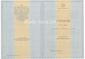 Диплом специалиста 2012-2013 в Сызрани